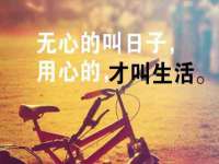 深圳市春惠通贸易有限公司