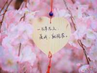 深圳市春惠通贸易有限公司