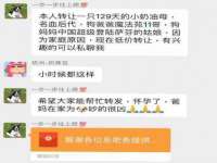 深圳市春惠通贸易有限公司