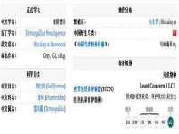 深圳市春惠通贸易有限公司