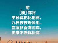 深圳市春惠通贸易有限公司