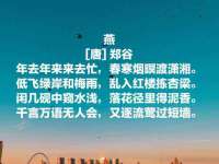 深圳市春惠通贸易有限公司