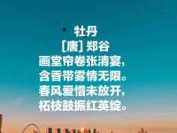 深圳市春惠通贸易有限公司