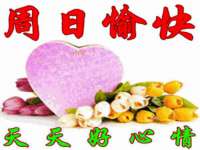 深圳市春惠通贸易有限公司
