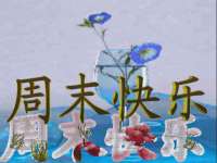 深圳市春惠通贸易有限公司