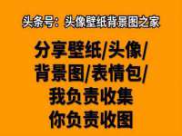 深圳市春惠通贸易有限公司