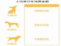深圳市春惠通贸易有限公司