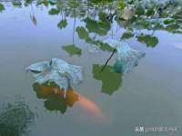 深圳市春惠通贸易有限公司