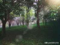深圳市春惠通贸易有限公司