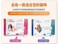 深圳市春惠通贸易有限公司