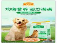 深圳市春惠通贸易有限公司