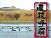 深圳市春惠通贸易有限公司