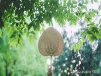 深圳市春惠通贸易有限公司