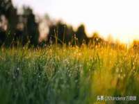 深圳市春惠通贸易有限公司