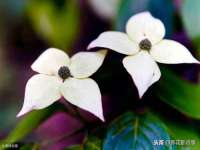 深圳市春惠通贸易有限公司