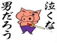 深圳市春惠通贸易有限公司