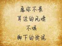 深圳市春惠通贸易有限公司