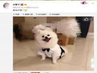 深圳市春惠通贸易有限公司