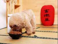 深圳市春惠通贸易有限公司