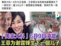 深圳市春惠通贸易有限公司