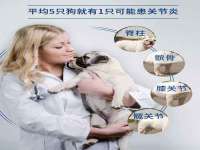 深圳市春惠通贸易有限公司