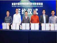 深圳市春惠通贸易有限公司