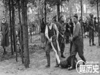 深圳市春惠通贸易有限公司