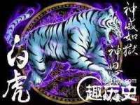 深圳市春惠通贸易有限公司
