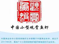 深圳市春惠通贸易有限公司