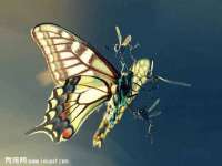深圳市春惠通贸易有限公司