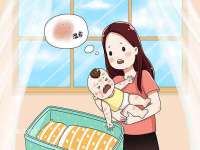 深圳市春惠通贸易有限公司