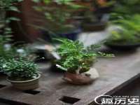 深圳市春惠通贸易有限公司