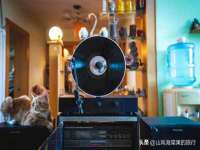 深圳市春惠通贸易有限公司