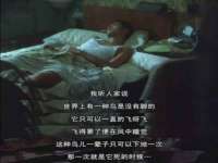 深圳市春惠通贸易有限公司