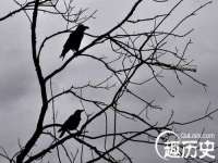 深圳市春惠通贸易有限公司