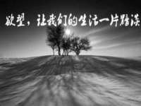 深圳市春惠通贸易有限公司