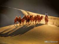 深圳市春惠通贸易有限公司