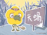深圳市春惠通贸易有限公司