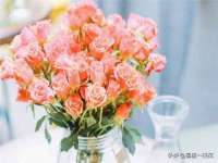 深圳市春惠通贸易有限公司