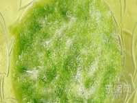深圳市春惠通贸易有限公司