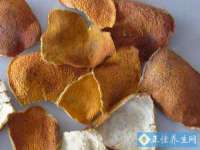 深圳市春惠通贸易有限公司