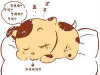 深圳市春惠通贸易有限公司