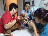 深圳市春惠通贸易有限公司