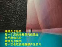 深圳市春惠通贸易有限公司