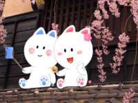 深圳市春惠通贸易有限公司