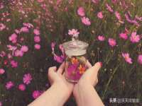 深圳市春惠通贸易有限公司
