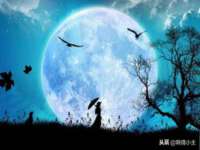 深圳市春惠通贸易有限公司