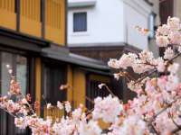 深圳市春惠通贸易有限公司