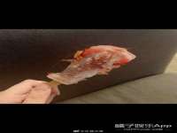 深圳市春惠通贸易有限公司